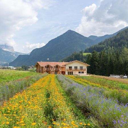 Eco-Green Fiores Agriturismo Vigo di Fassa Exterior photo