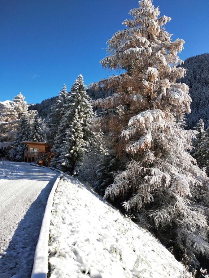 Eco-Green Fiores Agriturismo Vigo di Fassa Exterior photo